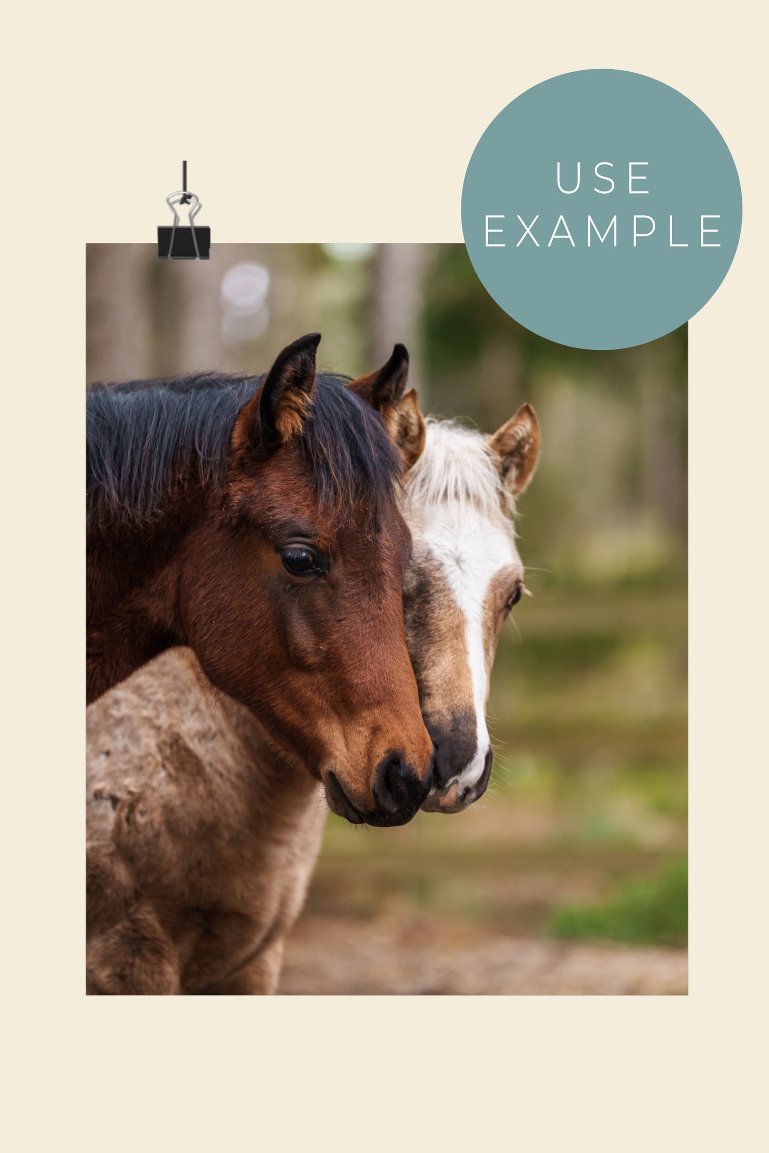 Lady Malin Best Friends Forever Poster