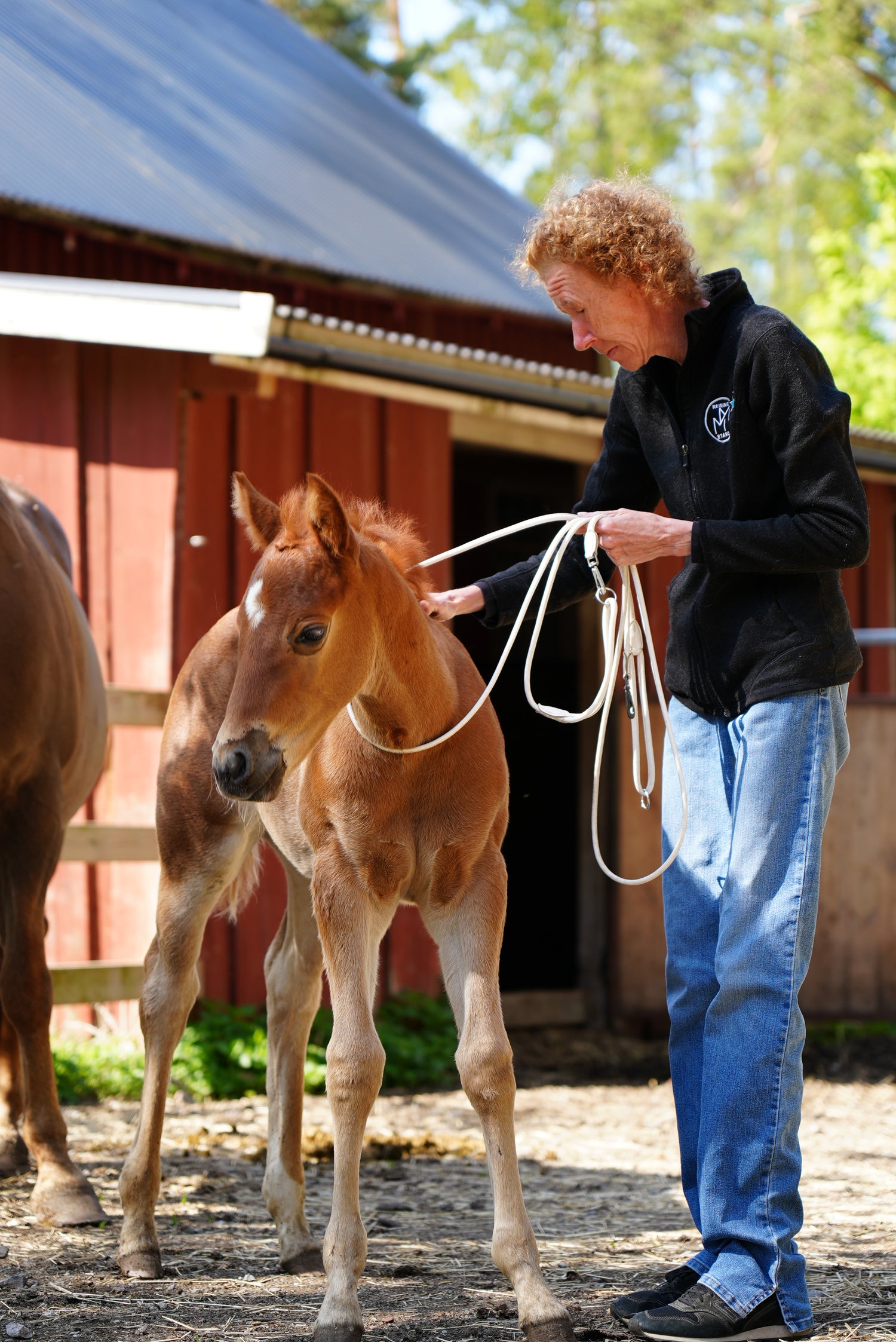 Malin holding a lasso next to a horse in an outdoor setting