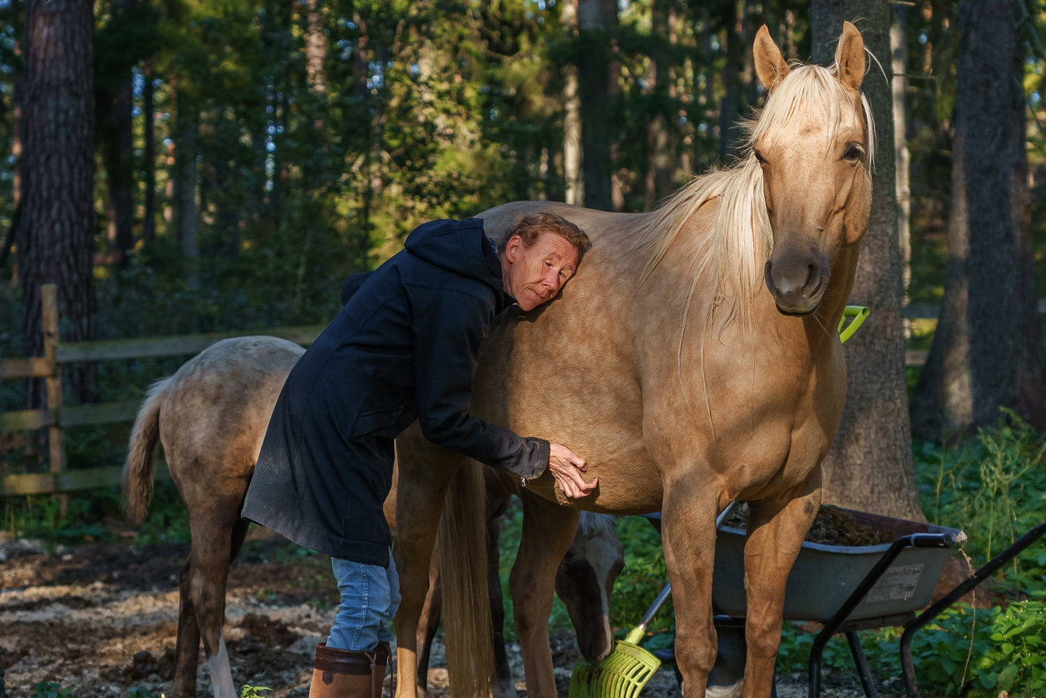 How I prepare for a safe foaling