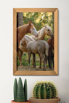 Forest Horses Digital Download Framed