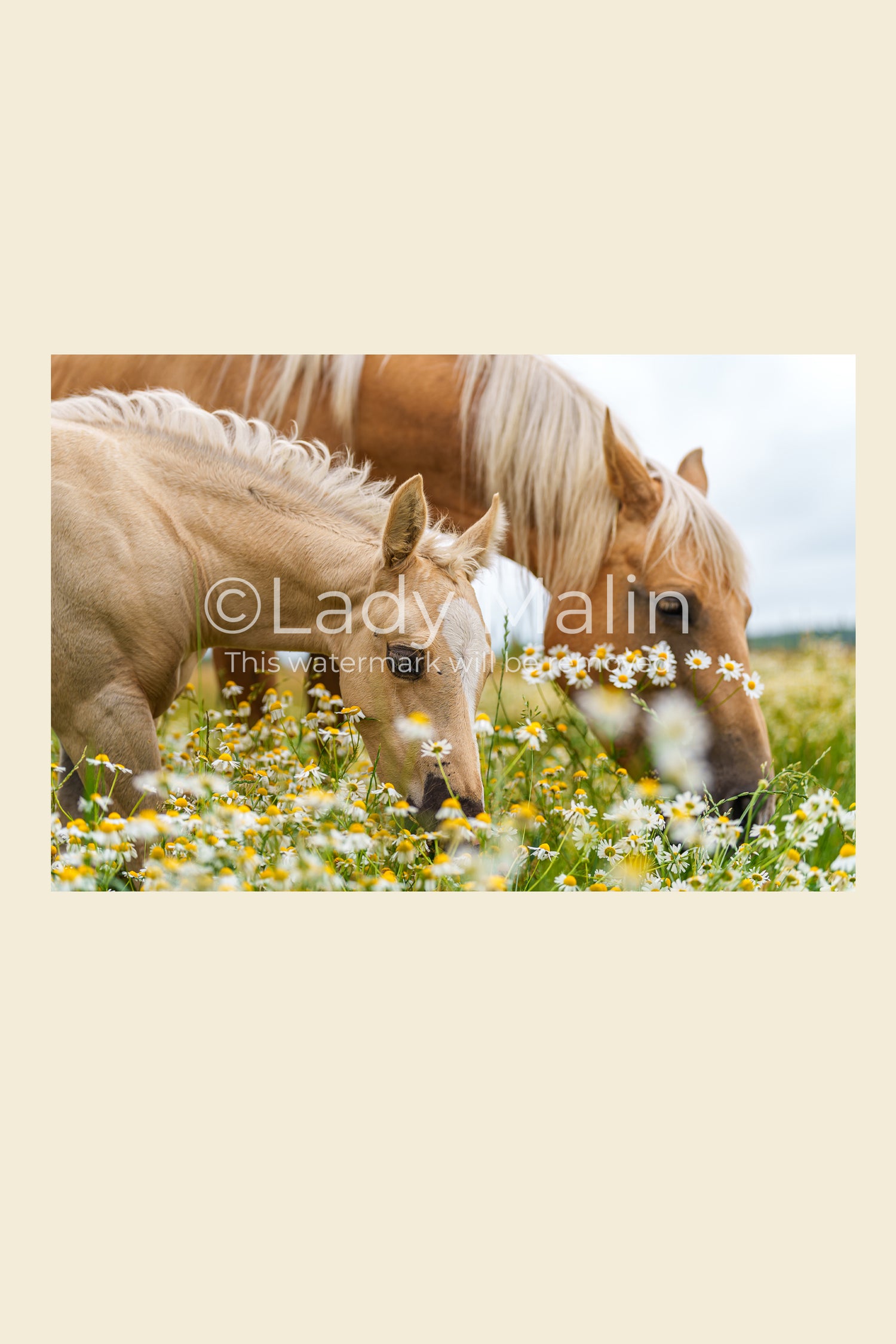 Lilly and Lavendel Digital Download